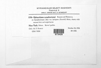 Sphaceloma symphoricarpi image